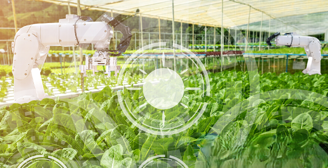 工业平板在智慧农业中对自动化灌溉解决方案